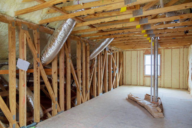 Best Spray Foam Insulation in Serenada, TX