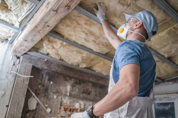 Best Blown-in Insulation in Serenada, TX