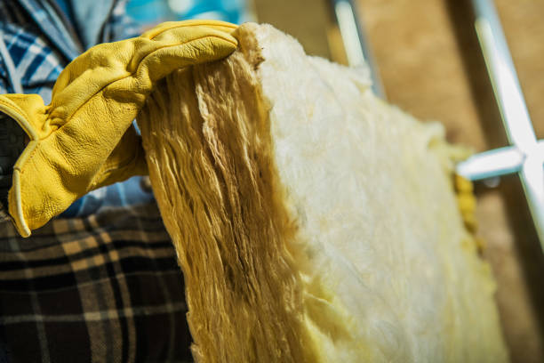Best Specialized Insulation Services in Serenada, TX