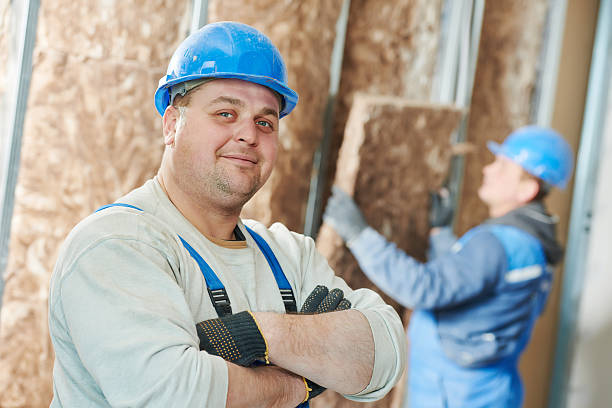 Best Spray Foam Insulation in Serenada, TX
